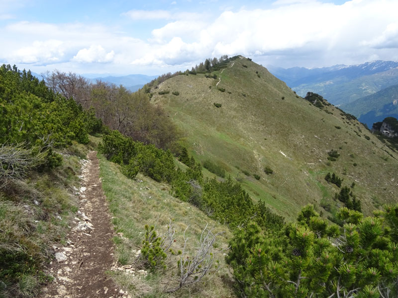 Cima Marzola, quota 1738 e quota 1736 m.